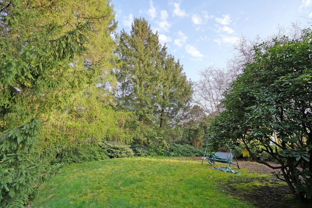 Blick in den Garten