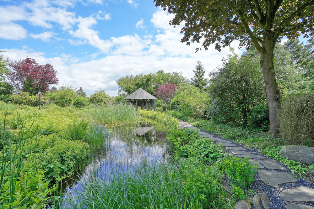 Gartenteich