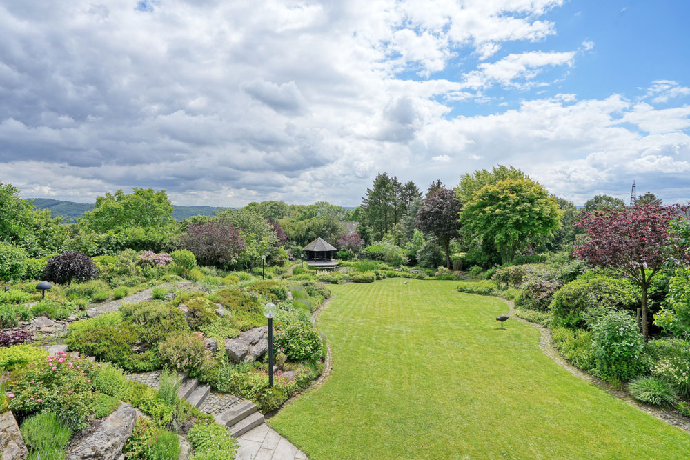 Blick in den Garten