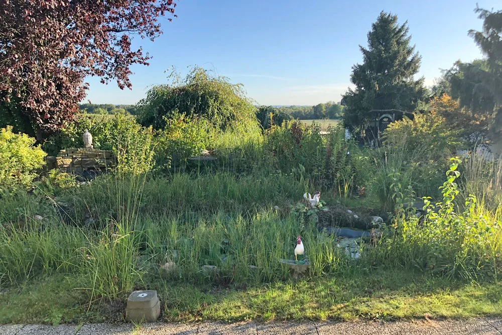 Blick in den Garten