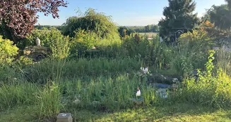 von_poll_real_estate_property_25061014_image_5