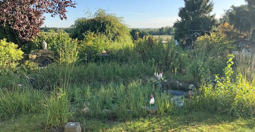 Blick in den Garten