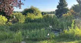 von_poll_real_estate_property_25061014_image_5