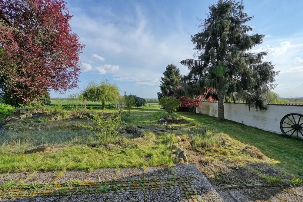 Blick in den Garten