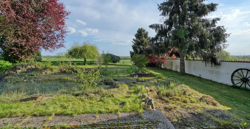 Blick in den Garten