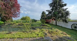 von_poll_real_estate_property_25061014_image_4