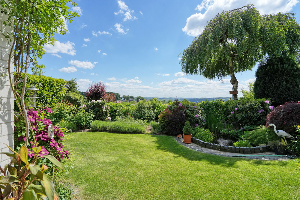 Blick in den Garten