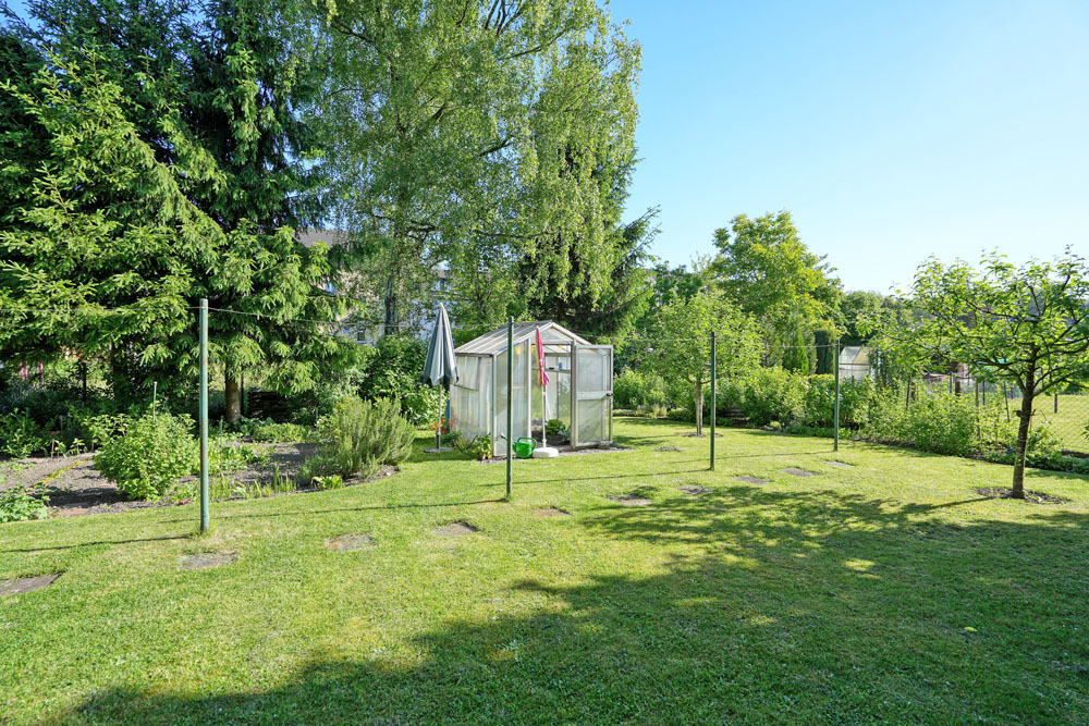 Blick in den Garten
