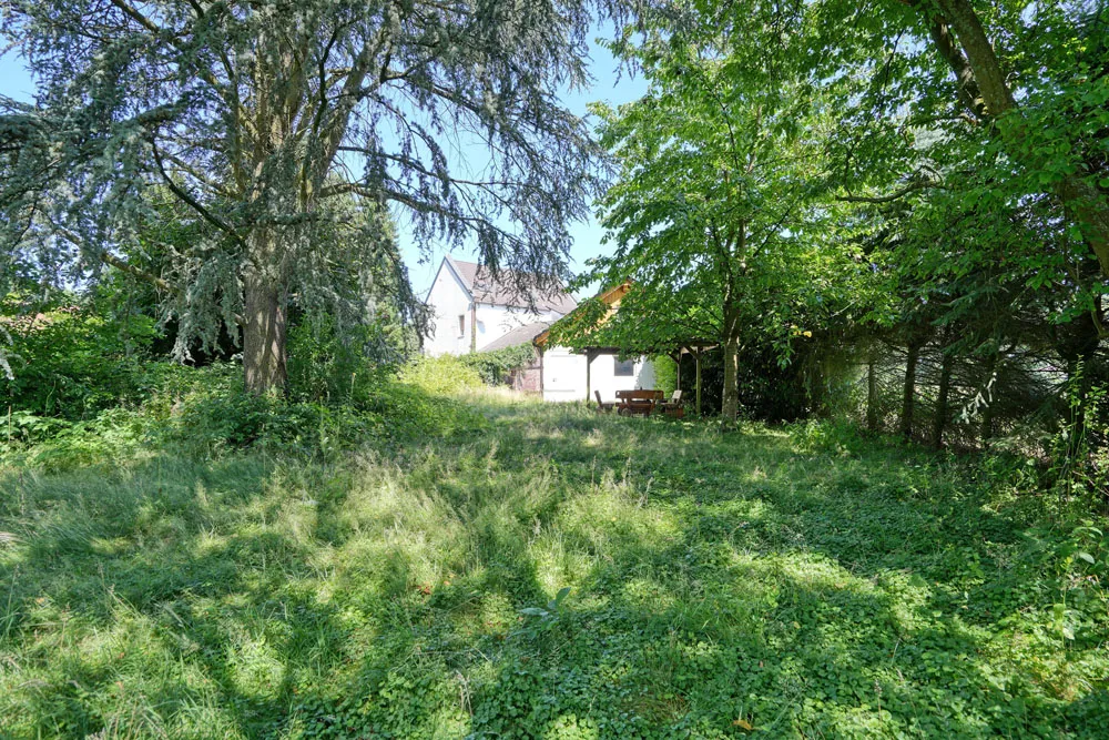 Blick vom Garten auf das Haus