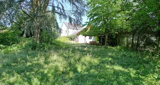 von_poll_real_estate_property_25061030_image_5