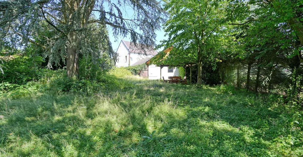 Blick vom Garten auf das Haus