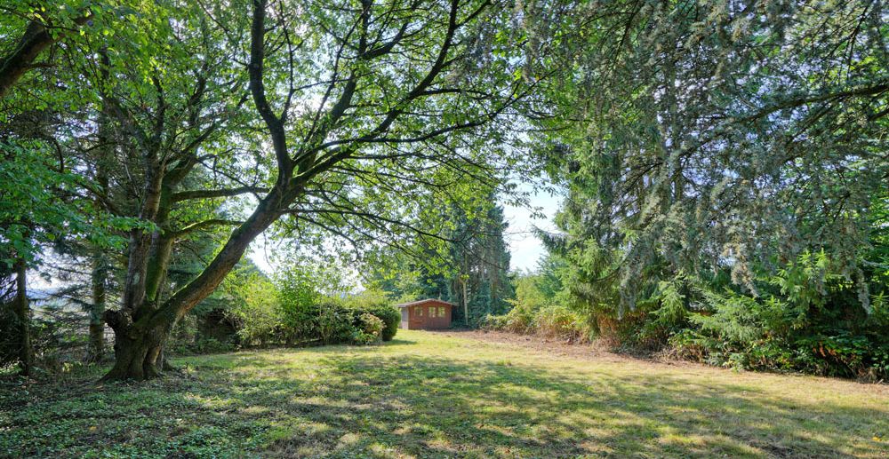 Blick in den Garten