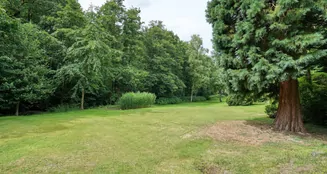 von_poll_real_estate_property_25061031_image_3