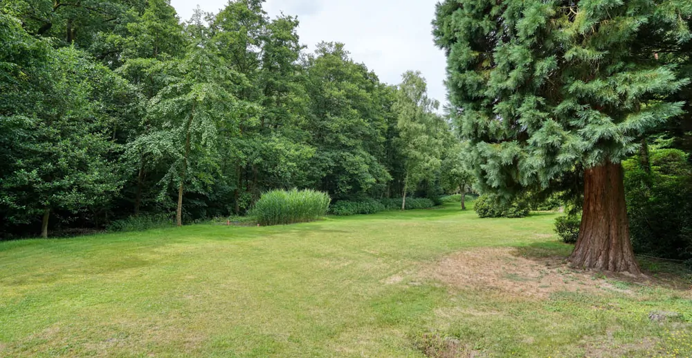 Teilansicht Grundstück