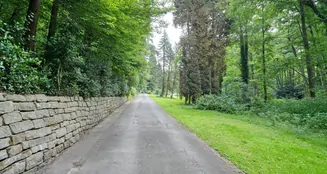 von_poll_real_estate_property_25061031_image_2