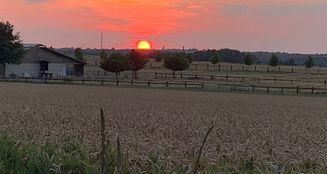 von_poll_real_estate_property_25061032_image_17