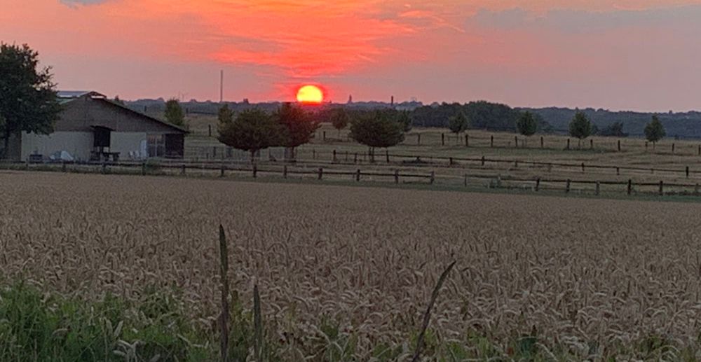 Abendstimmung