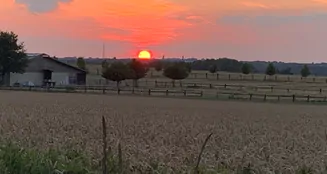 von_poll_real_estate_property_25061032_image_17