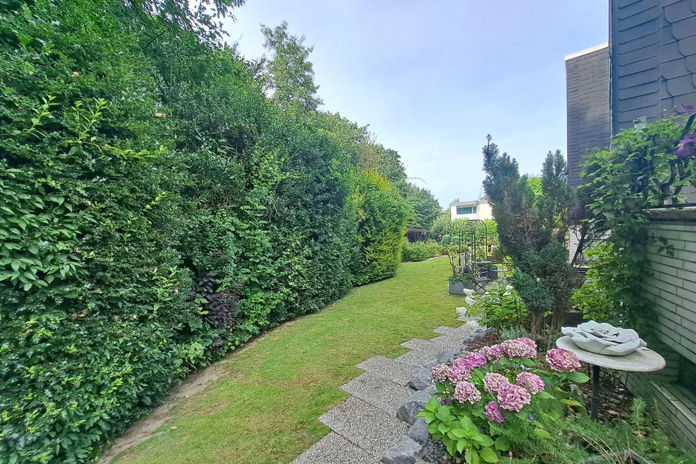 Teilansicht Garten