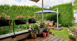 von_poll_real_estate_property_25003024_image_19