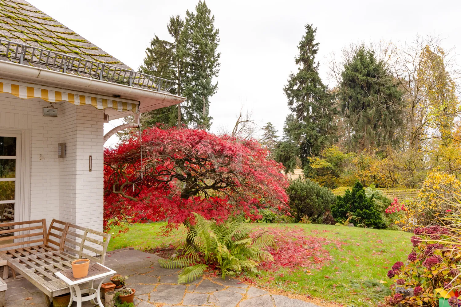 Der parkähnliche Garten