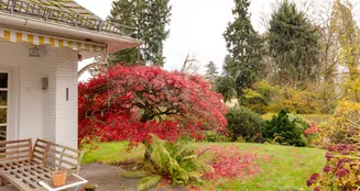 von_poll_real_estate_property_25003035_image_10