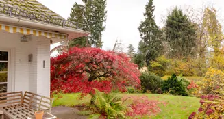 von_poll_real_estate_property_25003035_image_10