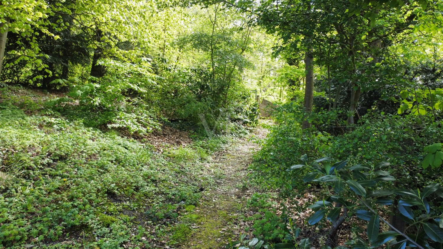 Direkter Zugang in den Wald