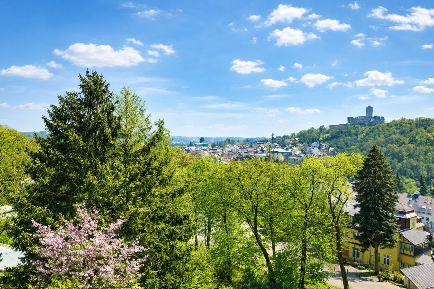 Fernblick