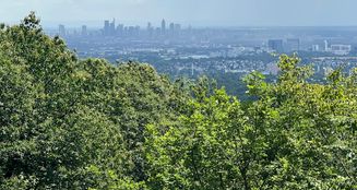 von_poll_real_estate_property_25003020_image_7