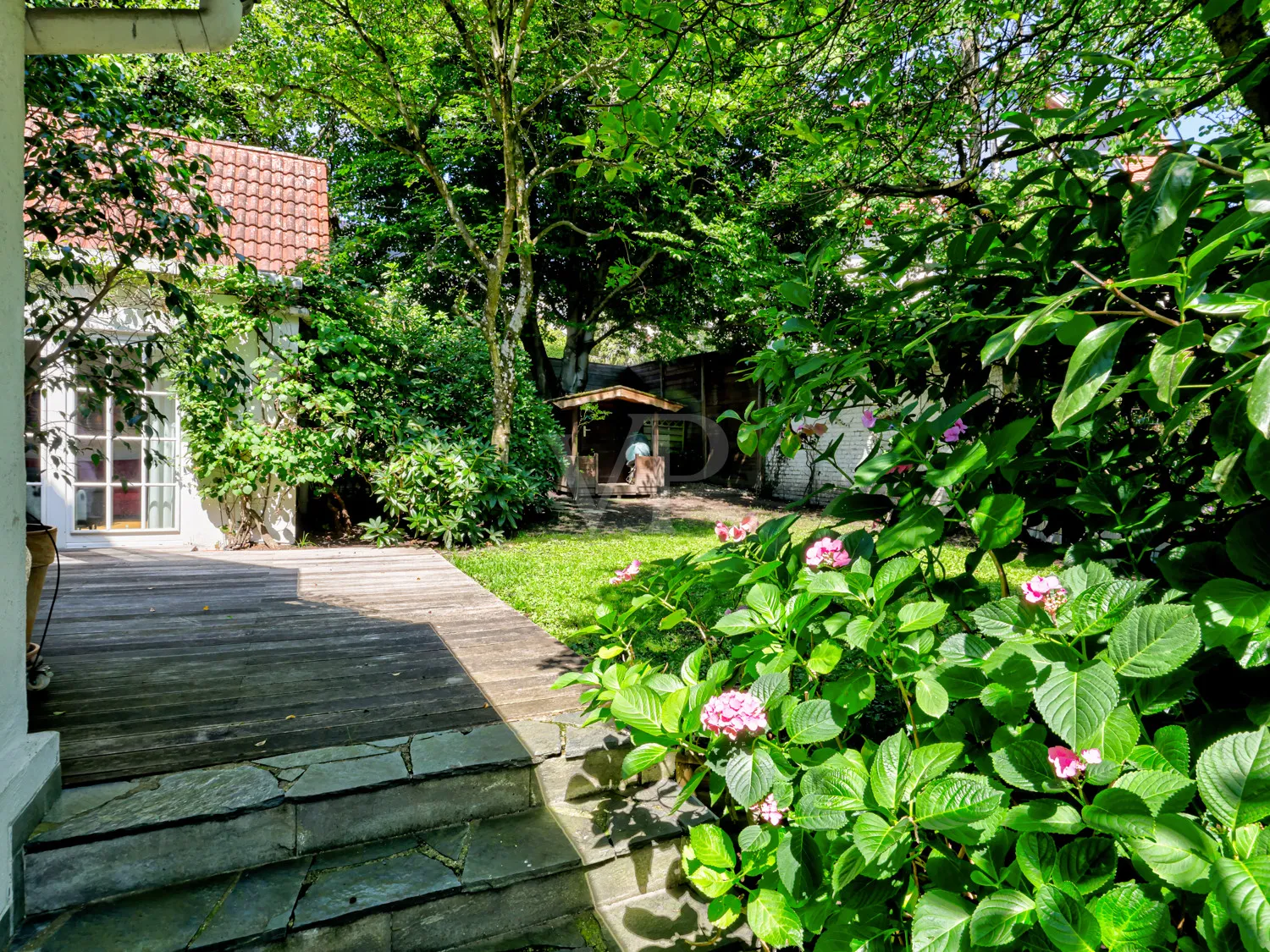 Außenbereich / Garten