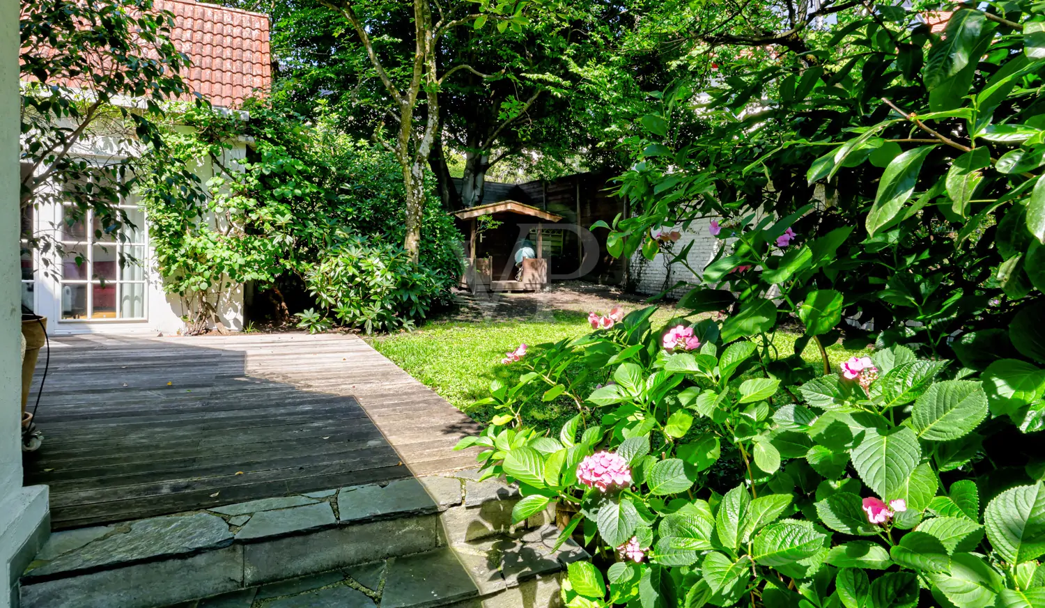 Außenbereich / Garten