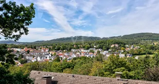 von_poll_real_estate_property_25003030_image_14