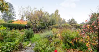 von_poll_real_estate_property_25003036_image_15