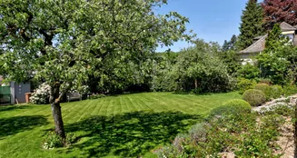 von_poll_real_estate_property_25003014_image_9