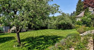 von_poll_real_estate_property_25003014_image_11