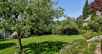 von_poll_real_estate_property_25003014_image_9