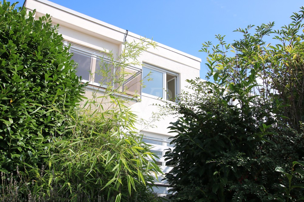 Eingewachsener Garten