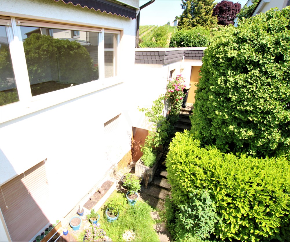 Blick in den Garten