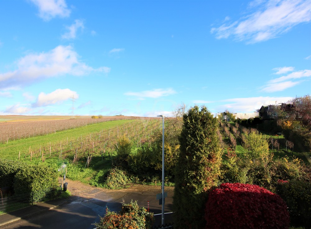 Blick in die Weinberge