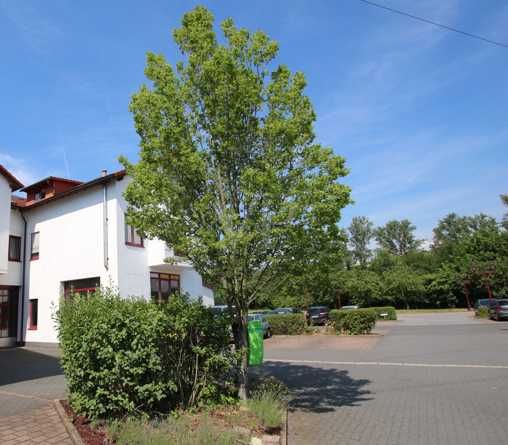 Parkplatz