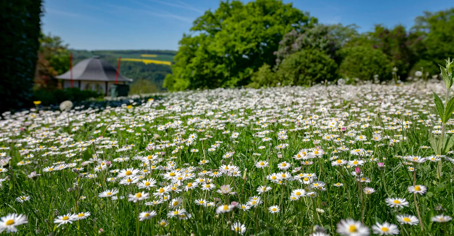 Weitläufiges Grundstück