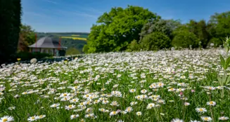 von_poll_real_estate_property_25072005_image_2