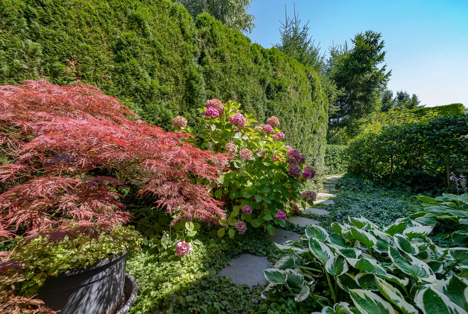 Gartendetail hinter dem Haus