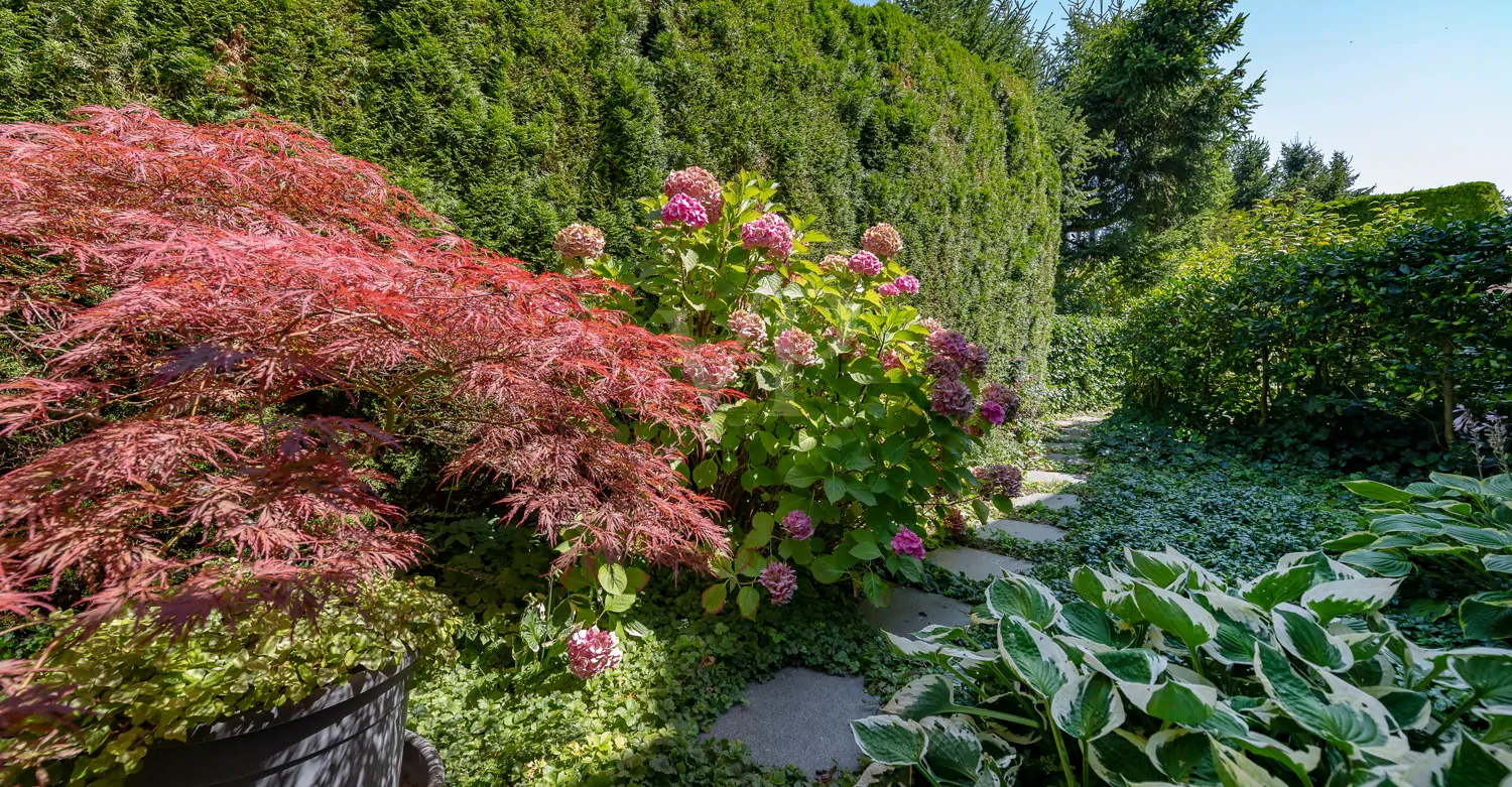 Gartendetail hinter dem Haus