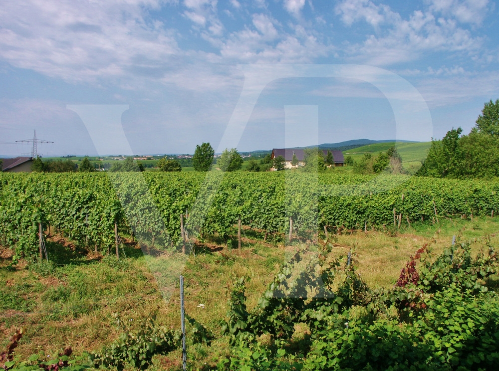 Ausblick