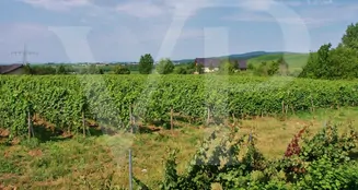 von_poll_real_estate_property_25072010_image_12