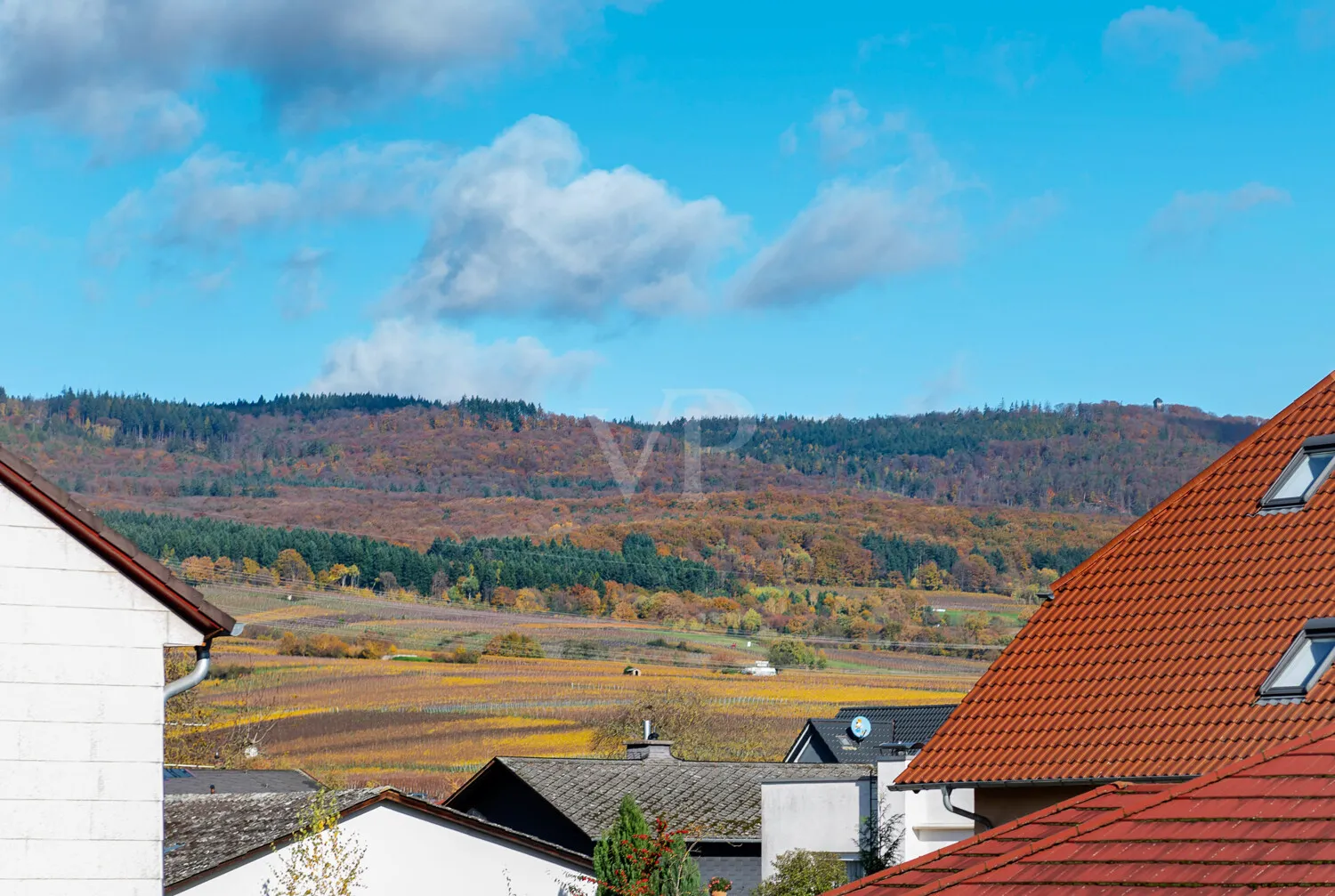 Blick in die Weinberge