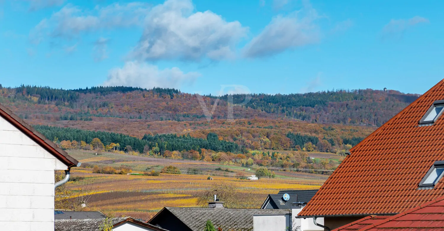 Blick in die Weinberge