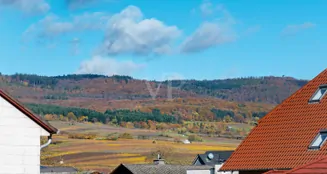 von_poll_real_estate_property_25072013_image_38